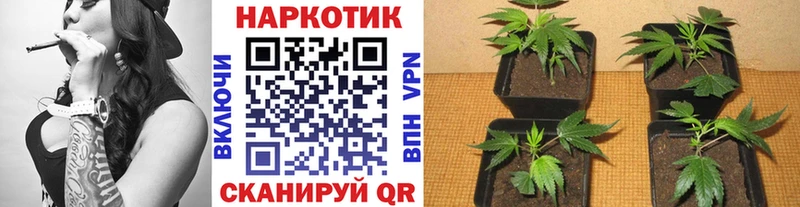 Купить наркотики Котельниково АМФЕТАМИН  APVP  ГАШИШ  Галлюциногенные грибы  Марихуана 