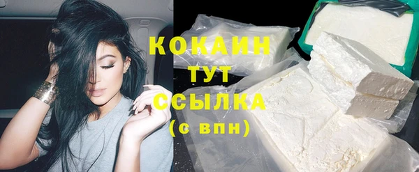 мдпв Осинники