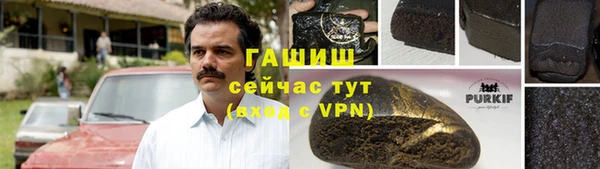 гашик Пересвет