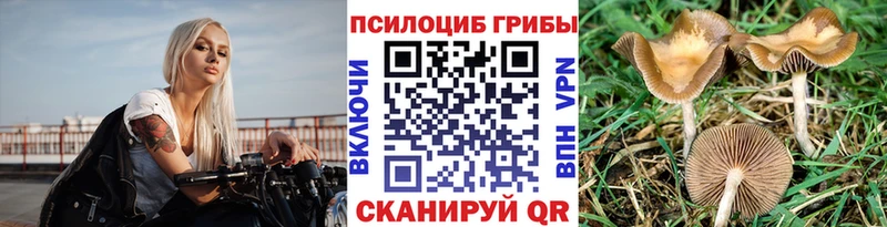 Галлюциногенные грибы Psilocybine cubensis  как найти наркотики  Котельниково 